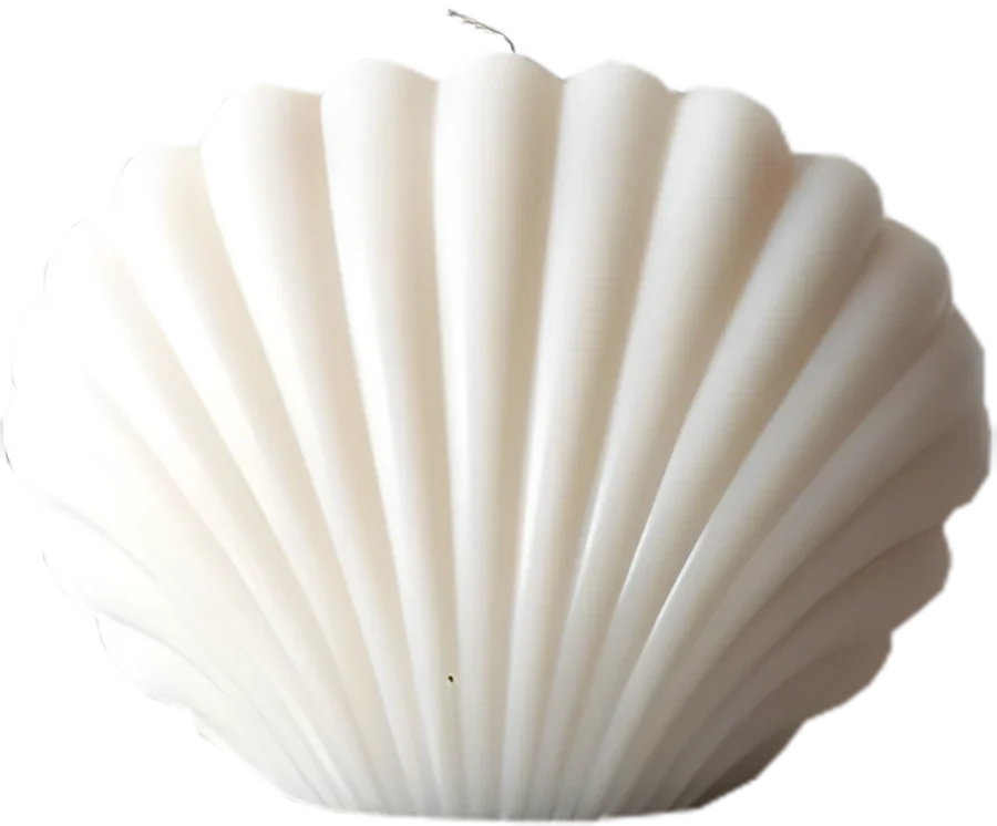 Neptune’s Shell, scallop seashell candle