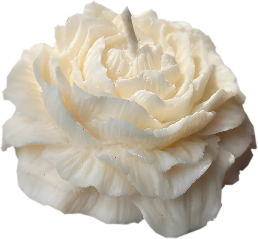 Rose Whisper, peony rose candle