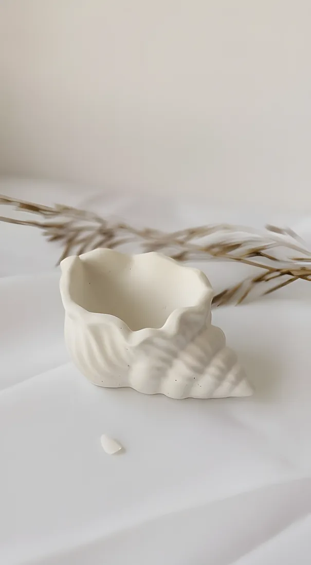 Sea Shell, conch shell concrete pot